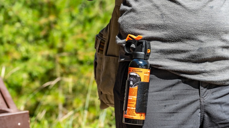 Bear spray clipped to hiker's belt, close-up