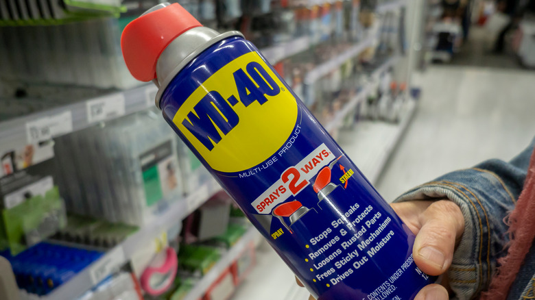 person holding WD-40