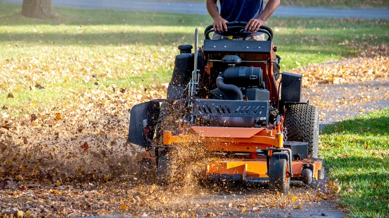 Person mulching leaves with mulcher