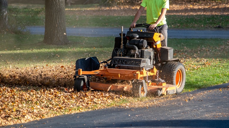 Person using mulch mower