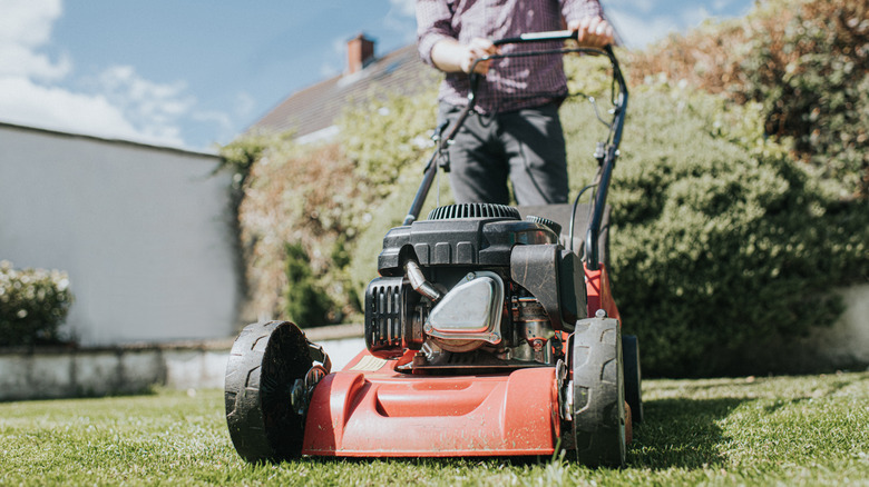 Man using lawnmower