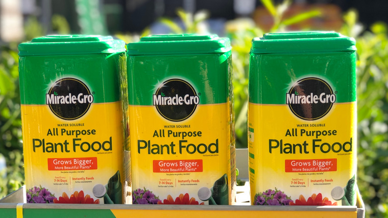 Miracle-Gro plant food product