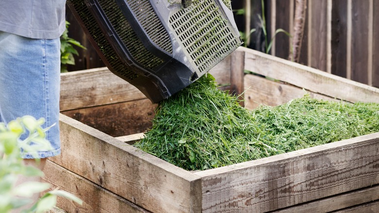 Grass clippings in compost bin