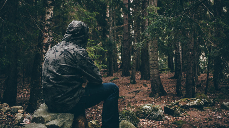 Back of a hiker alone in the woods, sitting on rock