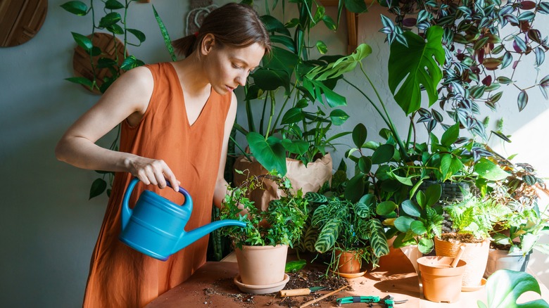 Woman watering houseplants
