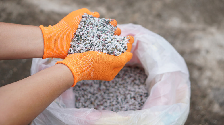 Gloved hands holding chemical fertilizer