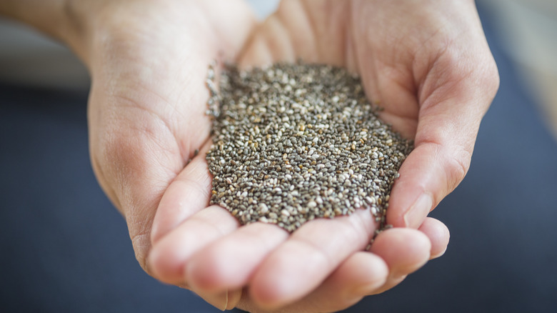 Raw chia seeds in palm