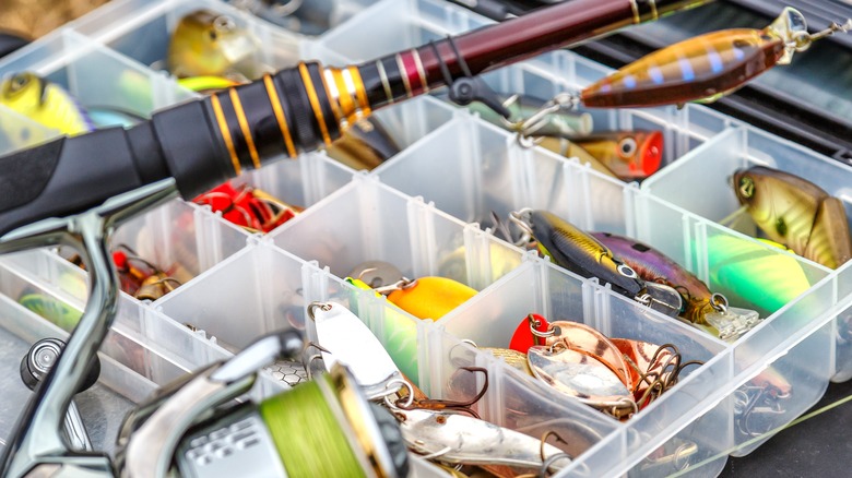 Fishing lures organized in compartments