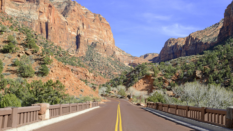 Road through Zion National Park