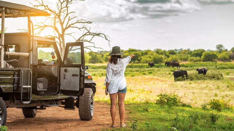 Woman on safari watching elephants